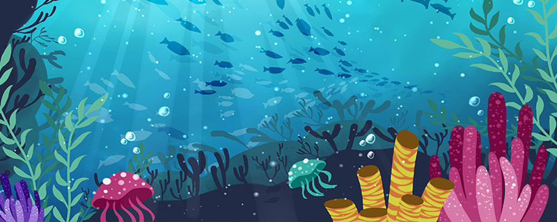 海底生物-漫画1.jpg