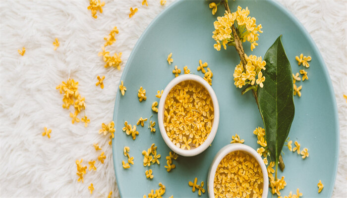 桂花2.jpg 桂花2.jpg