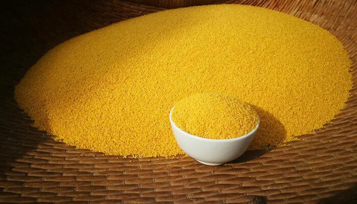 小米_副本.jpg 小米_副本.jpg