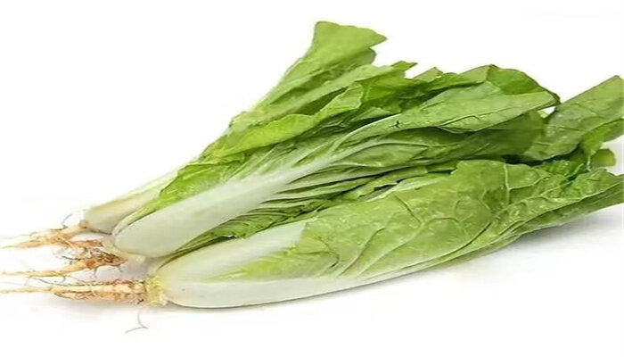 奶油快菜2.jpg