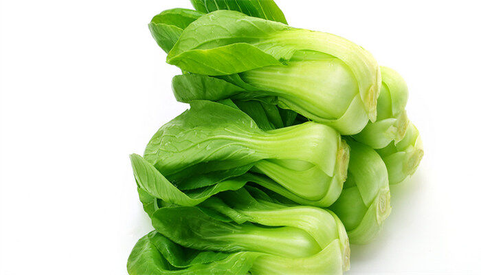 孔雀菜3.jpg