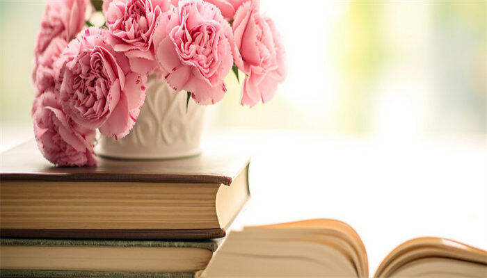 康乃馨4.jpg 康乃馨4.jpg