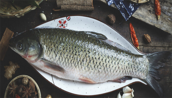 牛尾魚(yú).jpg