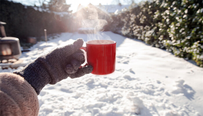 红雪茶.jpg