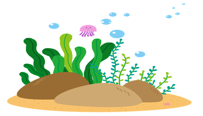 绿菊水草.png
