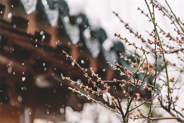 攝圖網(wǎng)_500809939_中式古典園林中的雪景（企業(yè)商用）.jpg