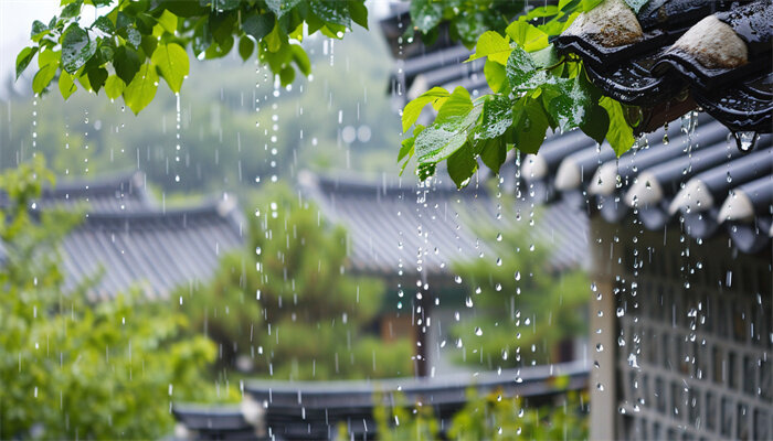 雨.jpg