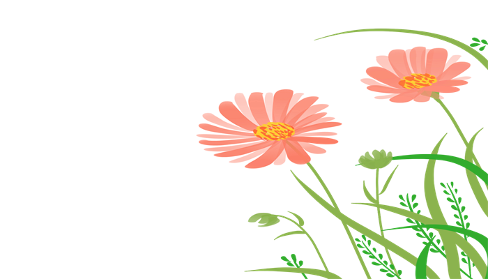 太陽(yáng)花.png