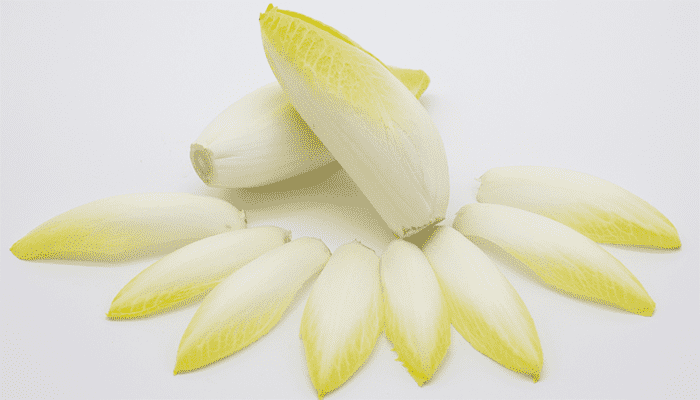 玉兰菜的种植方法和时间 玉兰菜的种植方法和时间