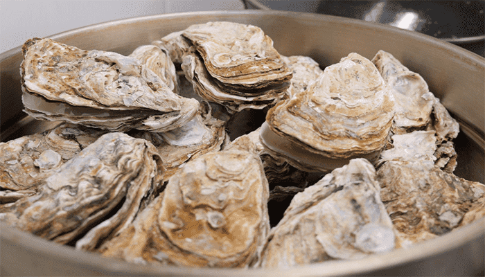生蠔和牡蠣的區(qū)別