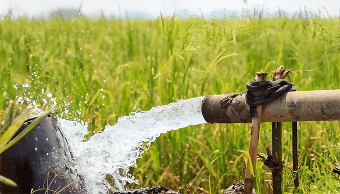 一亩地灌溉用水量