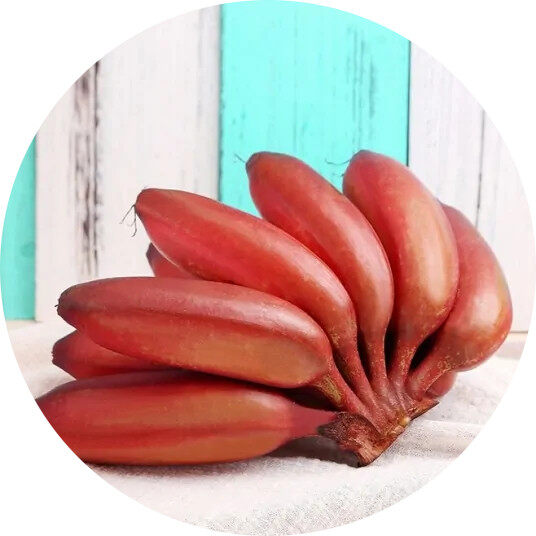 南洋红香蕉
