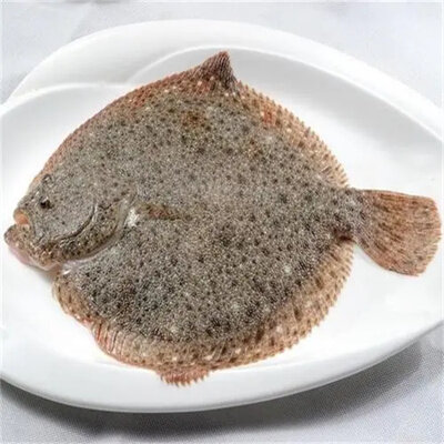 多寶魚