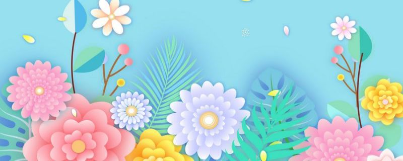 海芋怎么养长得好