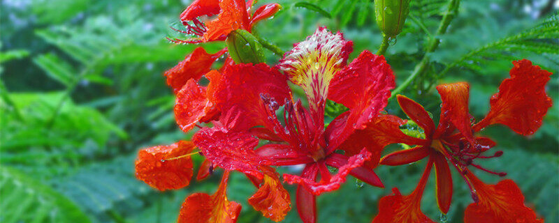 ͼ_500855795_banner_еķ˻(ҵ)_2.jpg