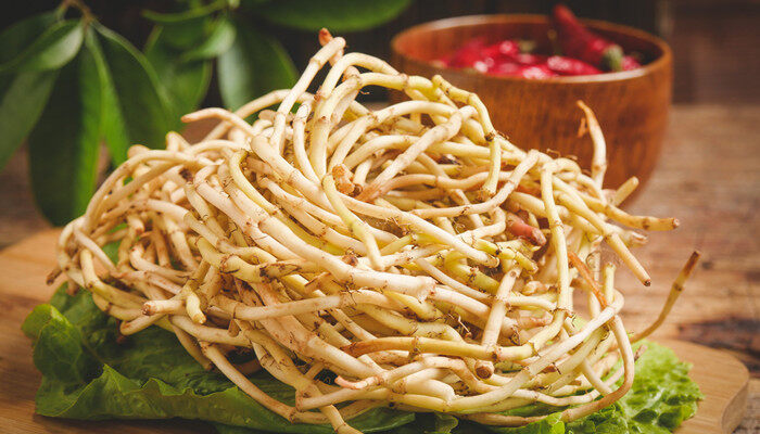 折耳根的味道 - 说植物